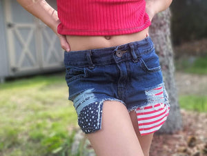 Stars And Stripes Distressed Hilo Shorties