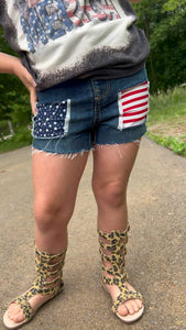 Stars And Stripes Distressed Shorts