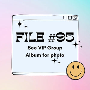 VIP File #95